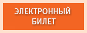Получить электронный билет Получить электронный билет